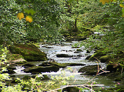 herrliche Natur in Bayern